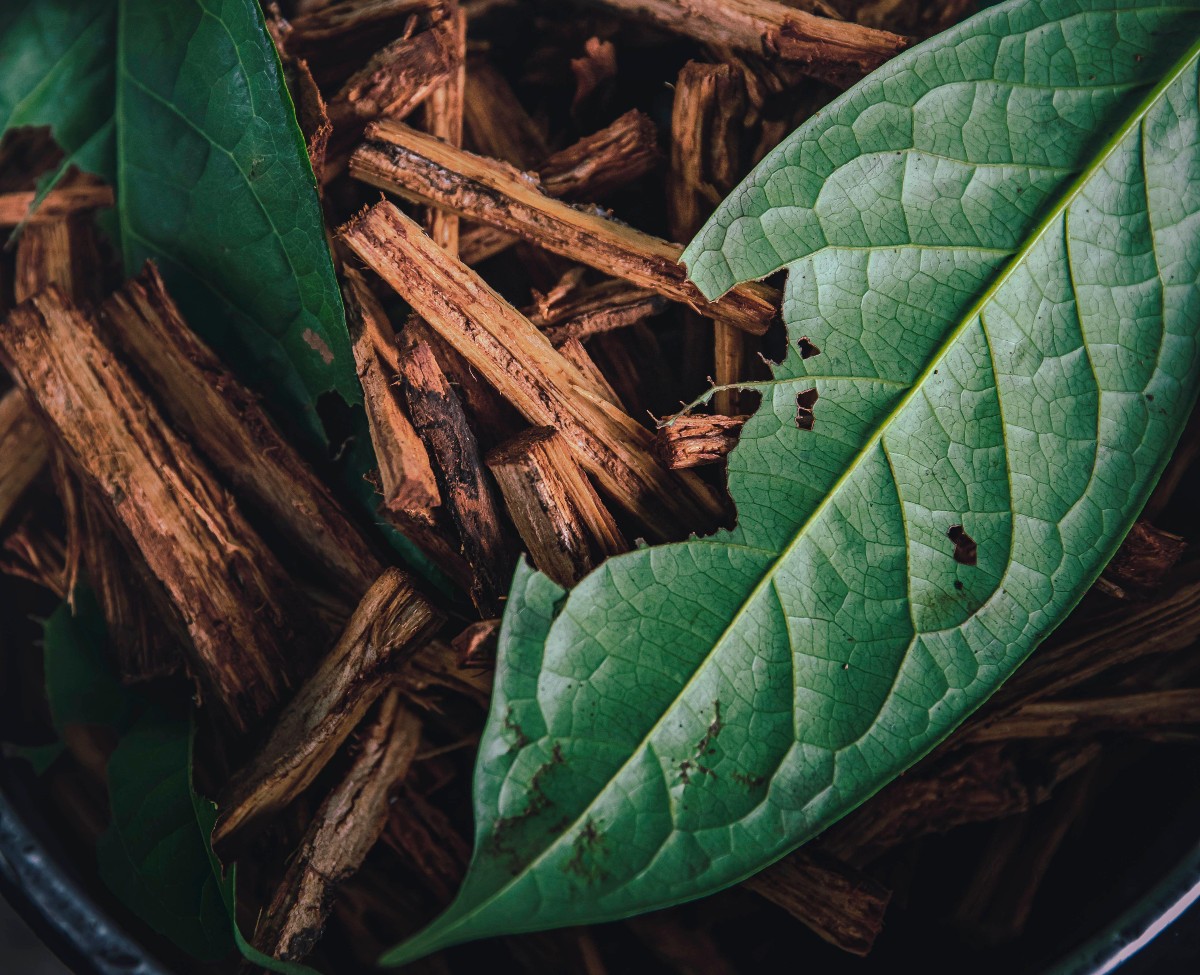 bark and leaves in a bowl