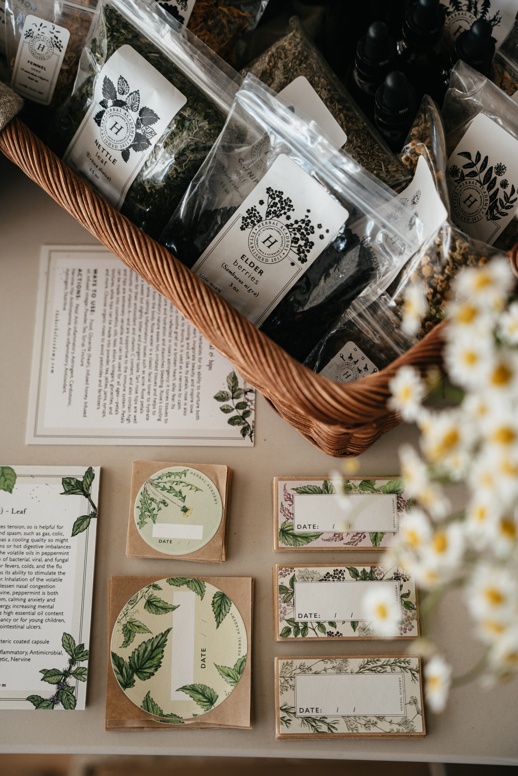 Start Your Own Apothecary Kit — Native Roots Healing-Ancestral