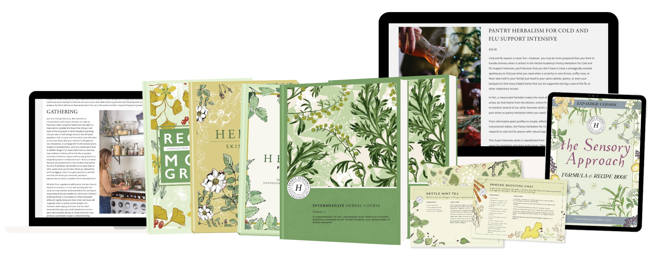 Intermediate Herbalism Bundle