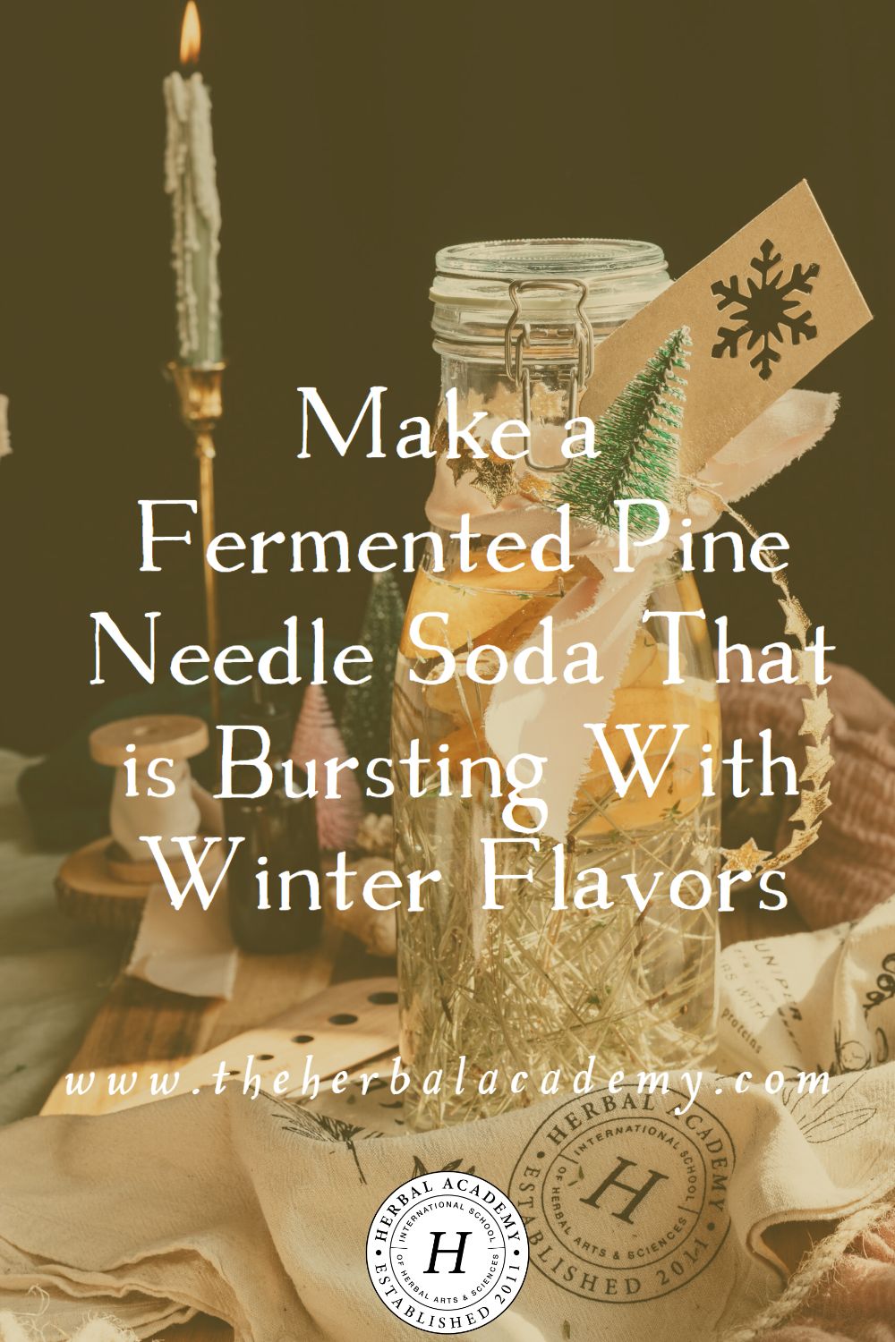 Make a Fermented Pine Needle Soda That is Bursting With Winter Flavors | Herbal Academy | This pine needle soda recipe makes a delightful drink that is bursting with winter flavors that really shine during this cold season.