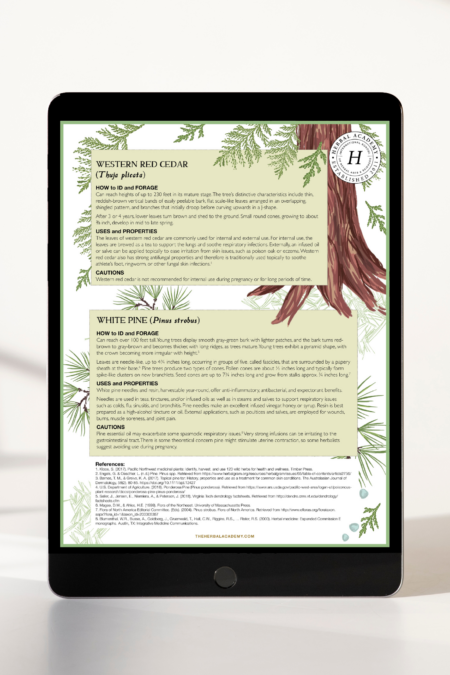 Herbal Academy Maker's Mag - Warm and Cozy - Winter Herbal Recipes1.png 3