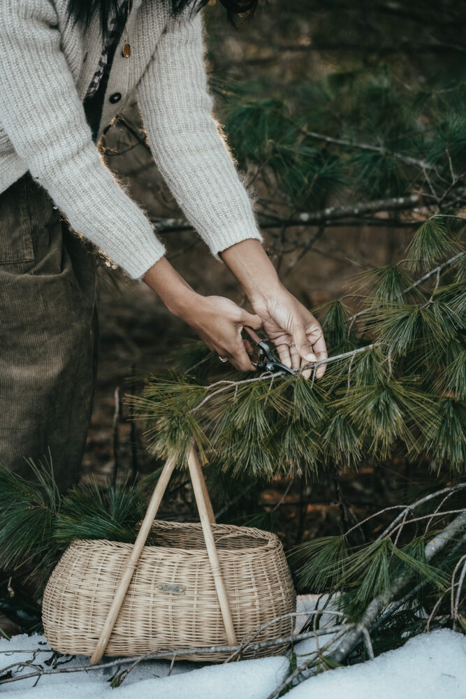 Woman foraging pines during winter