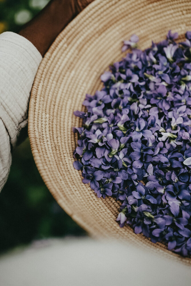 Violet flowers in basket