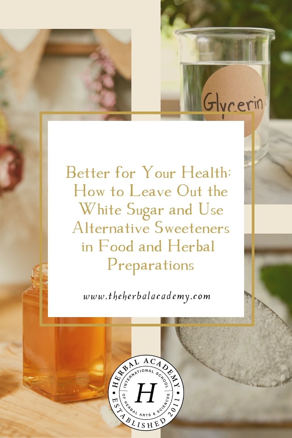 Better for Your Health: How to Leave Out the White Sugar and Use Alternative Sweeteners in Food and Herbal Preparations | Herbal Academy | You can create delicious, sweet treats and herbal preparations without compromising on flavor or your health by using alternative sweeteners. 