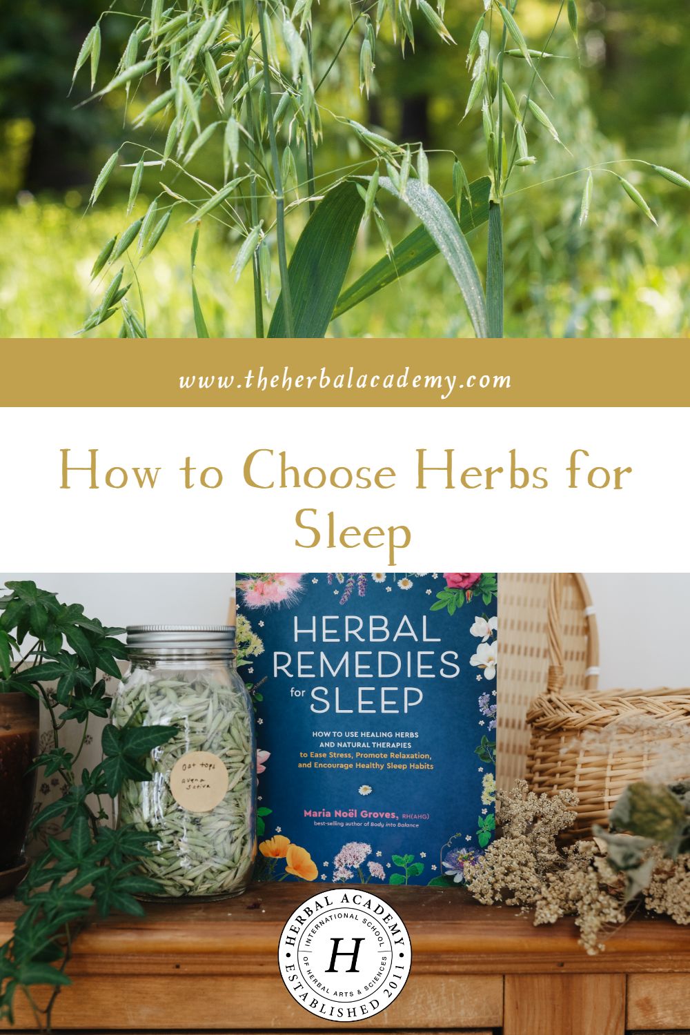 How to Choose Herbs for Sleep | Herbal Academy | This book excerpt weaves herbal supports, practical tips for herbal usage, and enticing recipes to help readers with a good night’s rest!
