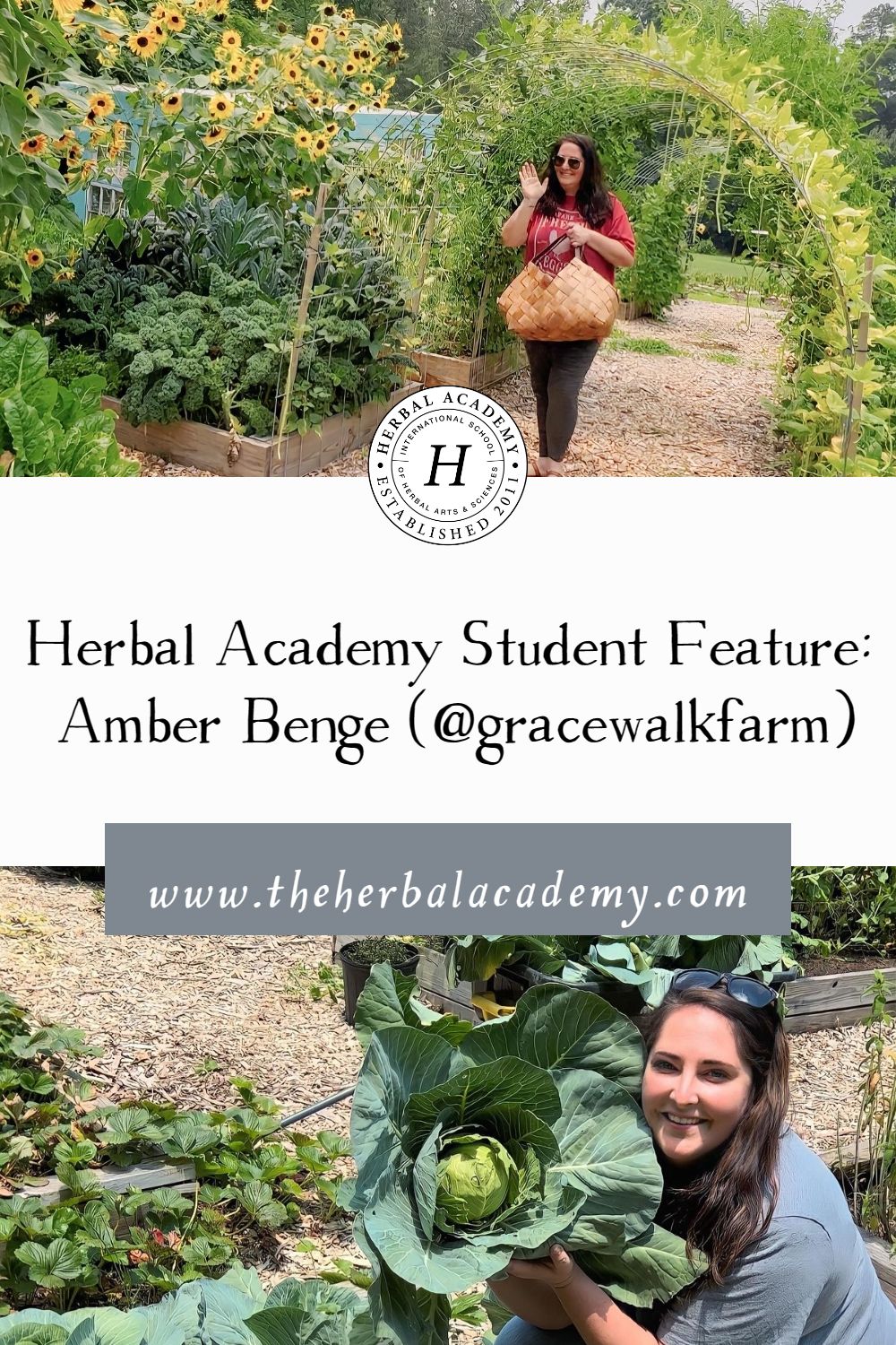 Herbal Academy Student Feature: Amber Benge (@gracewalkfarm) | Herbal Academy | Amber Benge is the owner of Grace Walk Farm where she teaches a gardening course, making money on a homestead, how to grow zinnias, and more!