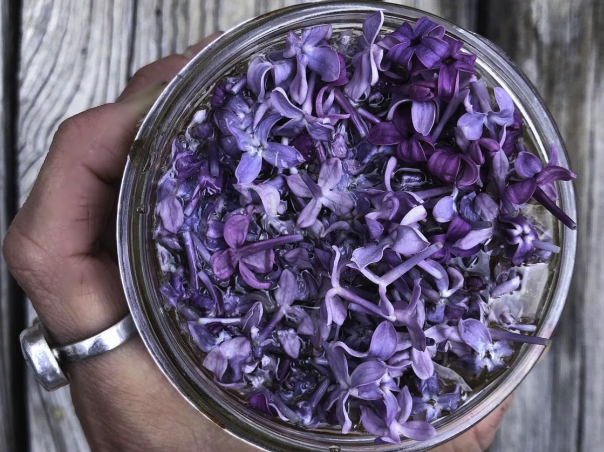 lilac flowers in a jar