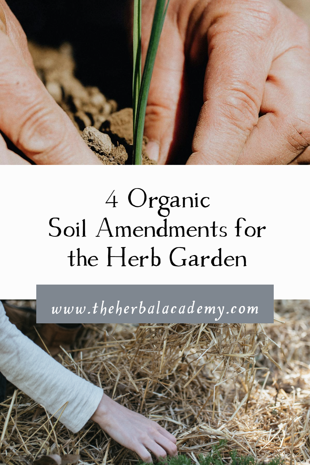 4 Organic Soil Amendments for the Herb Garden | Herb Graden| If you’re looking to cultivate an herb garden that is sustainable, using organic soil amendments will be one aspect of helping it to thrive.