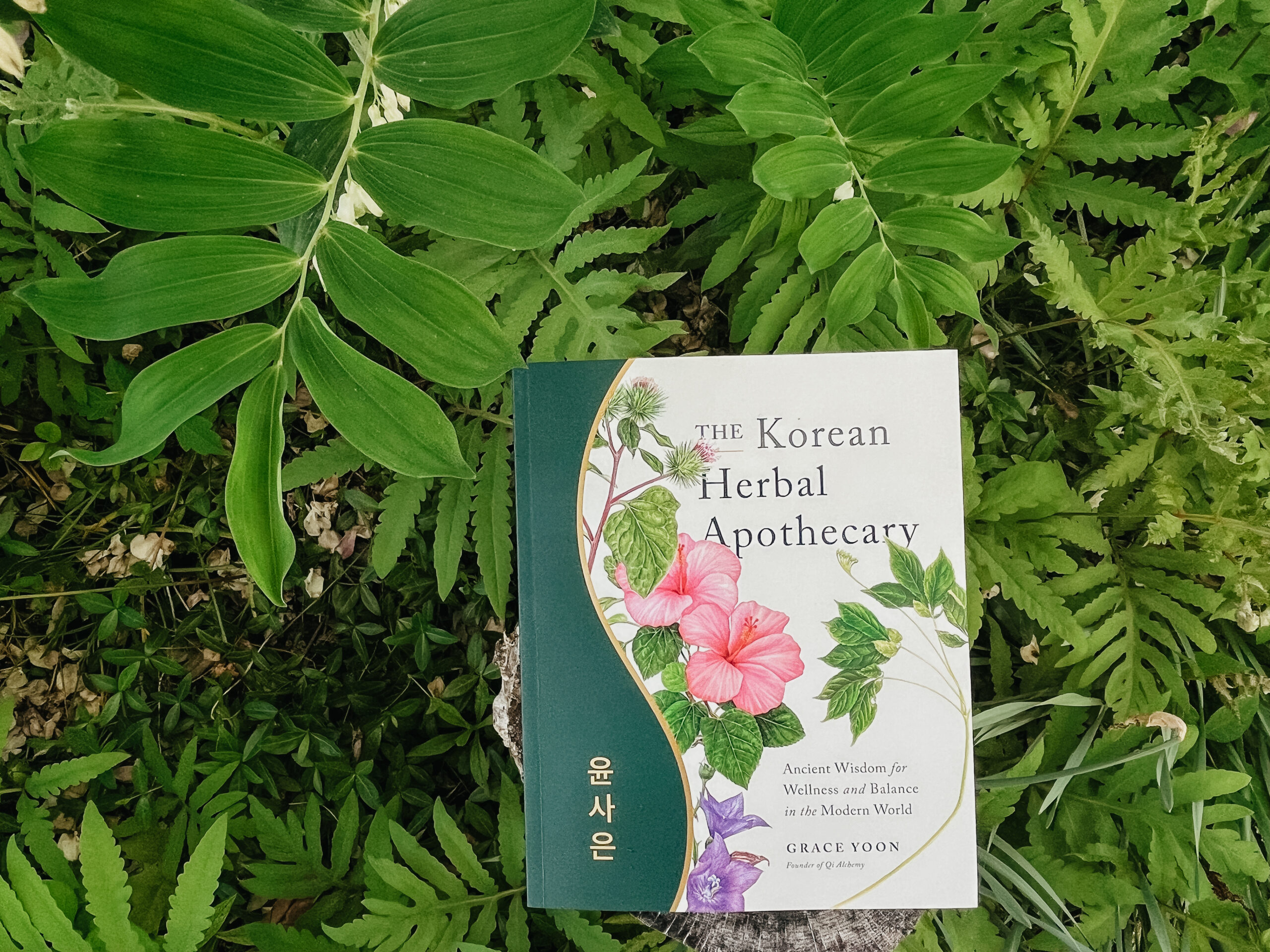 The Korean Herbal Apothecary book