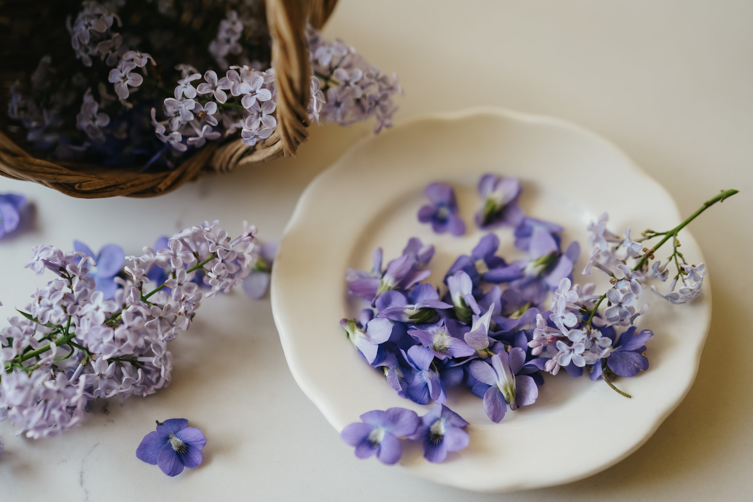 violets on a white plate with lilacs in the background