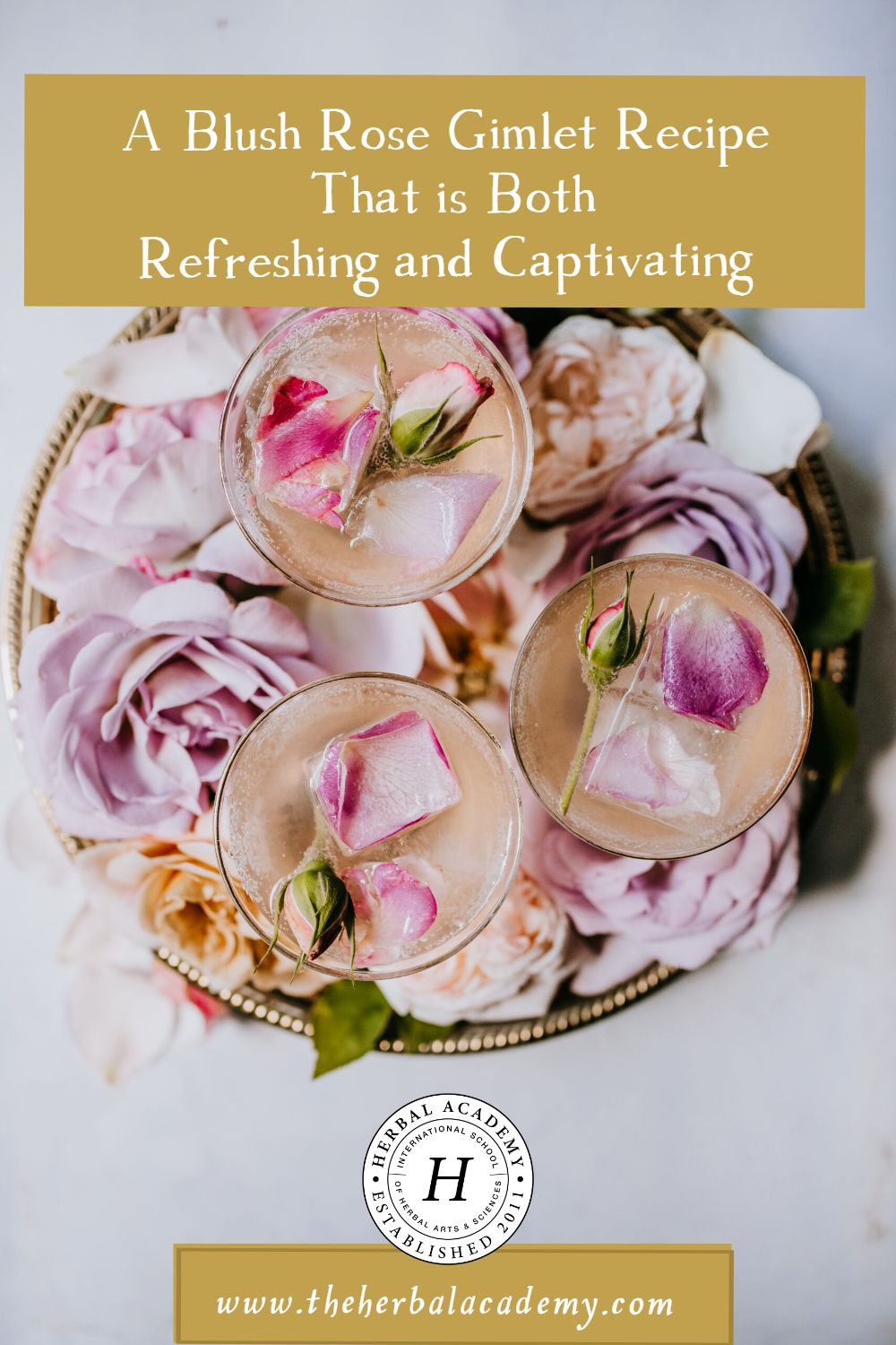 A Blush Rose Gimlet Recipe That is Both Refreshing and Captivating | Herbal Academy | This enchanting cocktail combines the timeless elegance of a classic gin gimlet with the subtle floral notes of rose petals and elderflower.