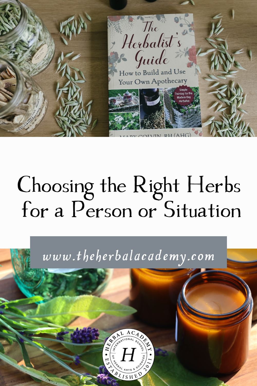 Choosing the Right Herbs for a Person or Situation | Herbal Academy | Learning to pick the right herbs takes some practice, but you will get better with the practice, experience, and knowledge with each herb.