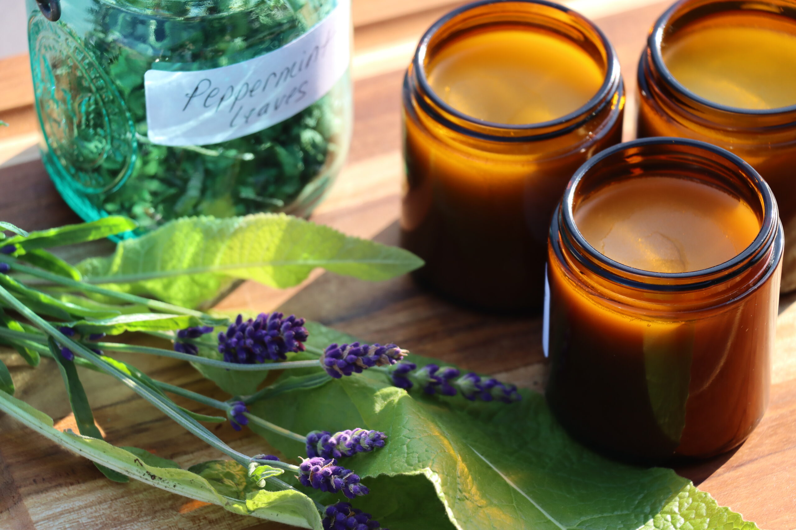 photo of peppermint leaves, lavender, and jars of salve