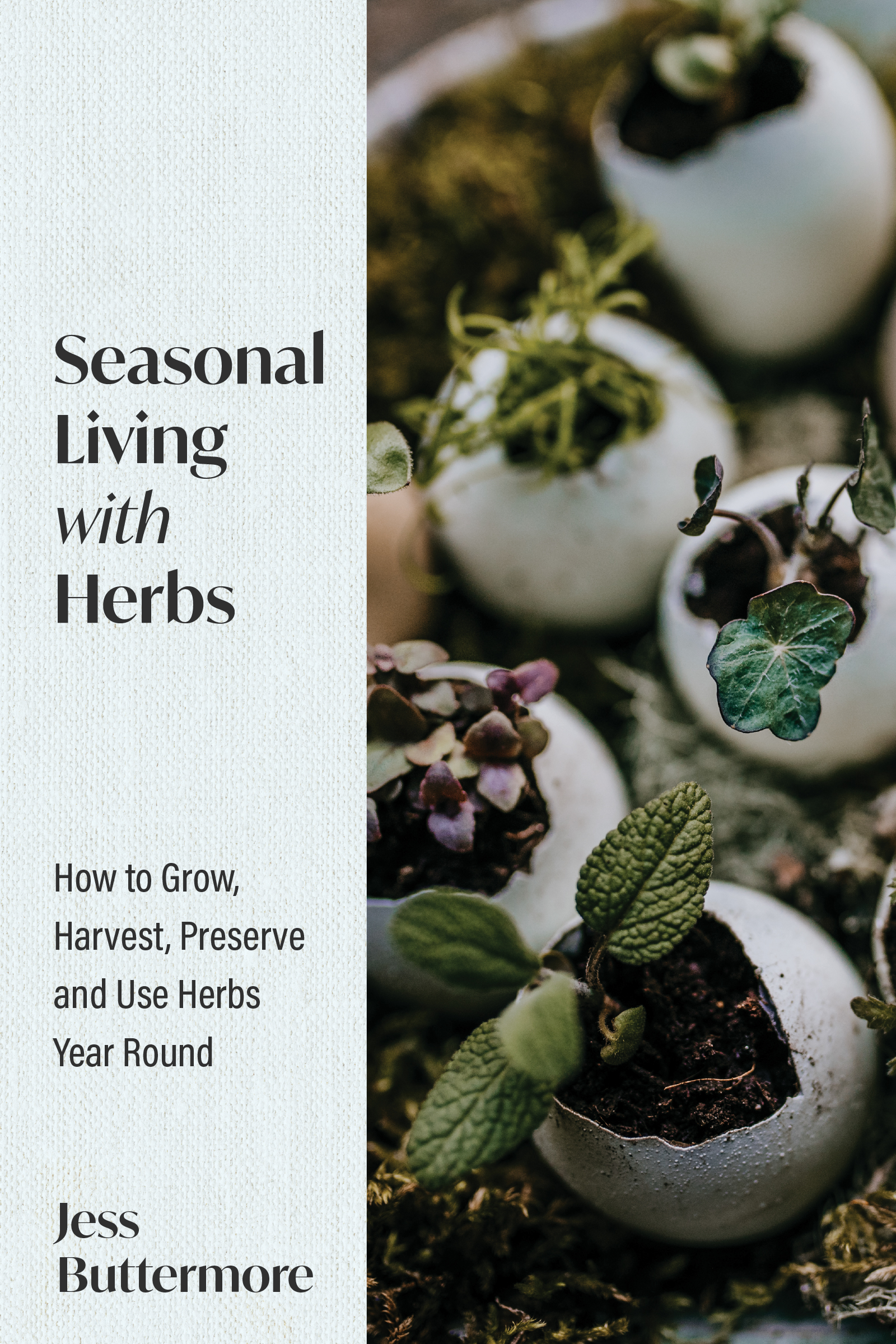 Seasonal Living with Herbs book cover