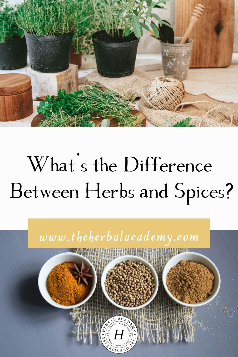 What’s the Difference Between Herbs and Spices? | Herbal Academy | While both herbs and spices add depth and complexity to dishes, let's talk about their distinct origins and differences.