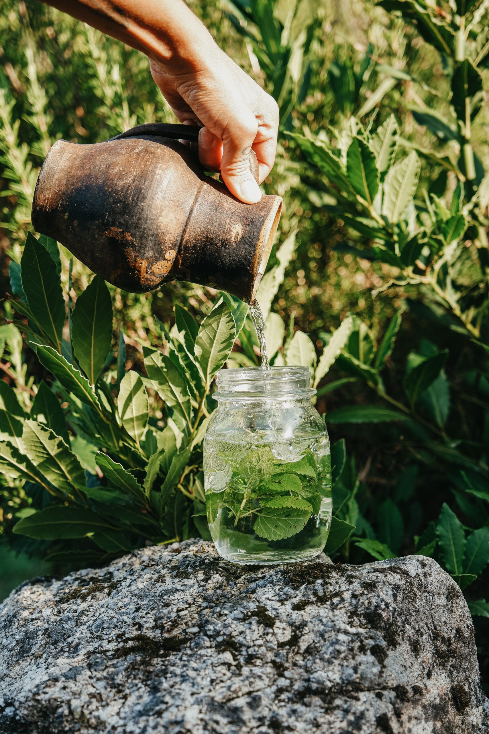 water pouring from a clay jar into a jar of fresh lemon balm