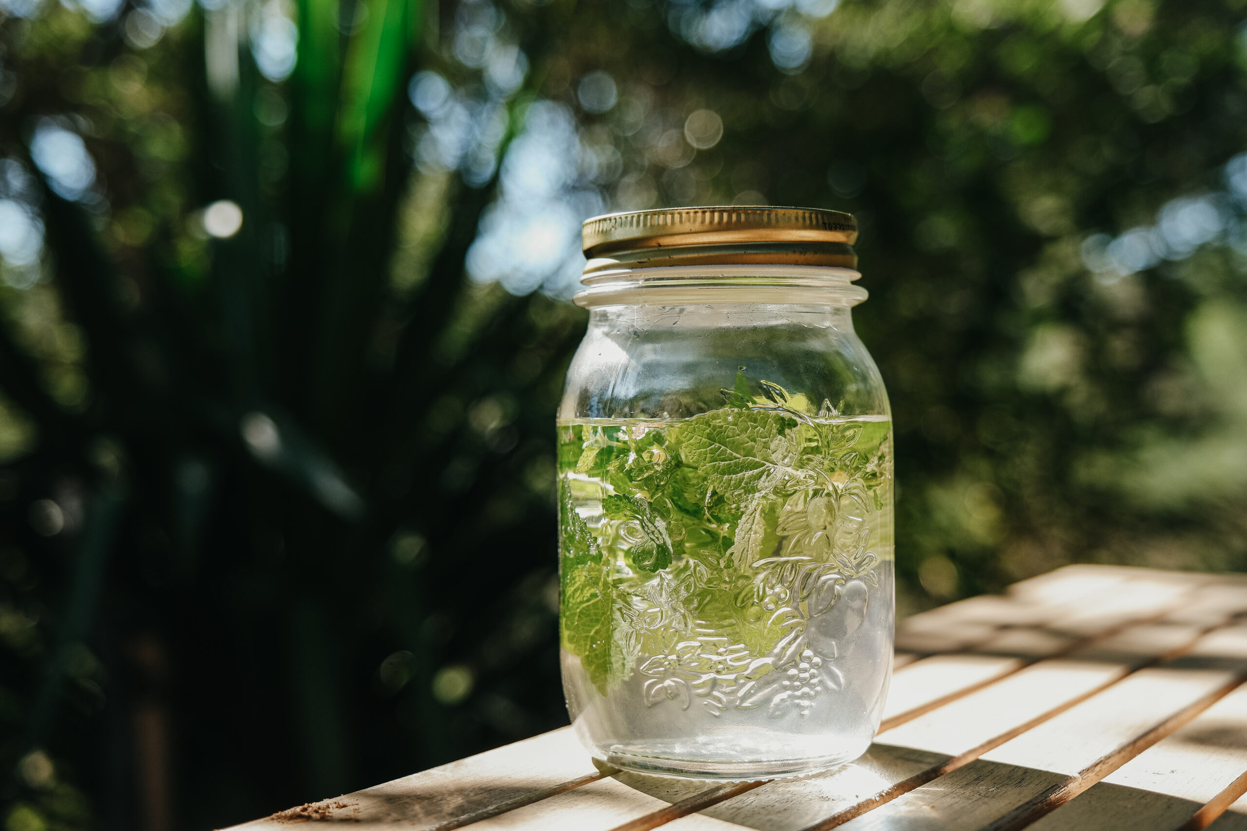 lemon balm solar infusion tea in a jar sitting outside