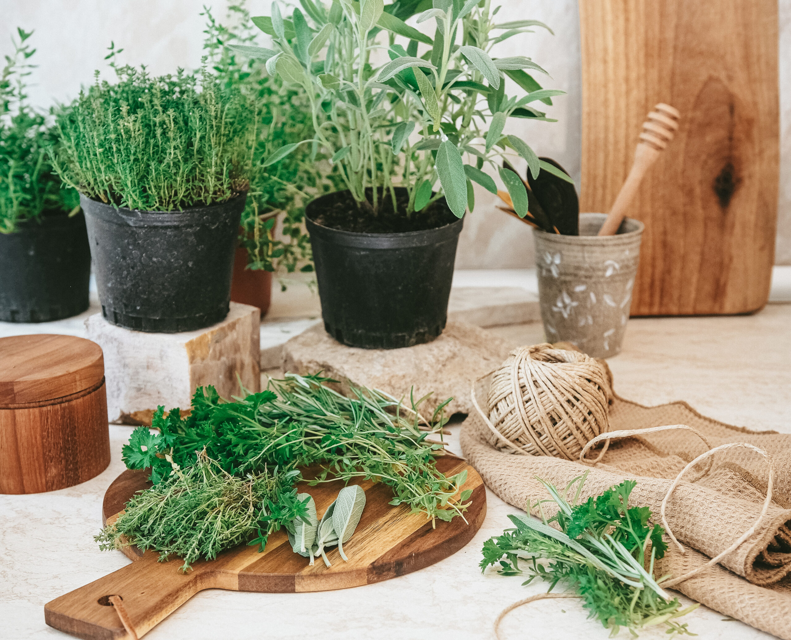 What’s the Difference Between Herbs and Spices? – Herbal Academy