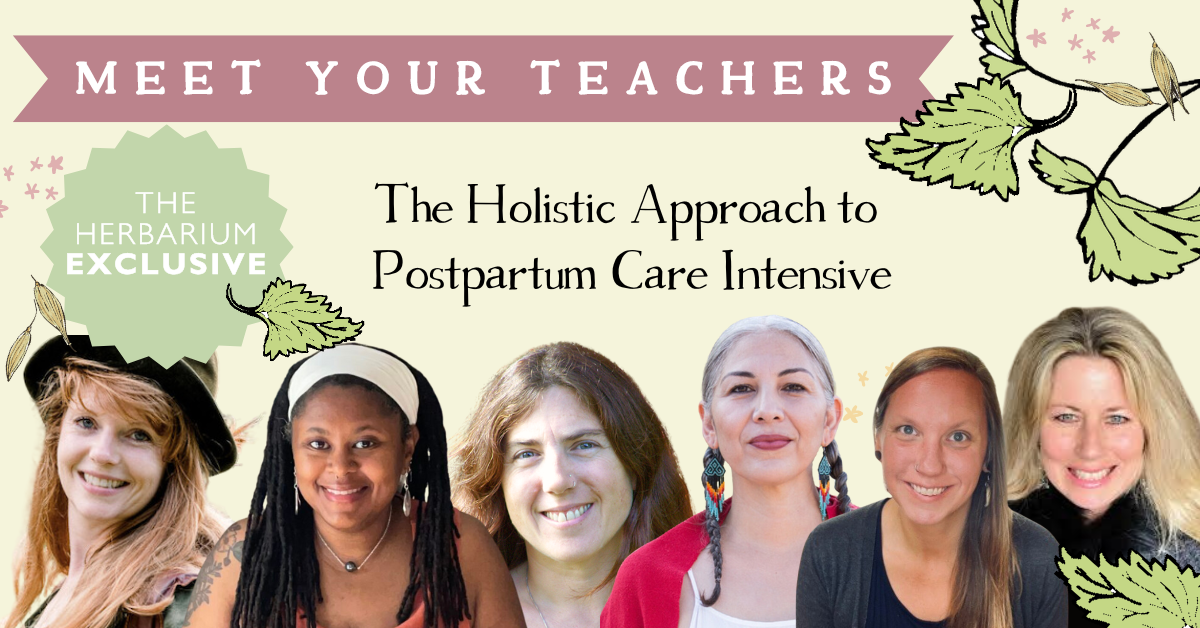 teachers for the postpartum care intensive