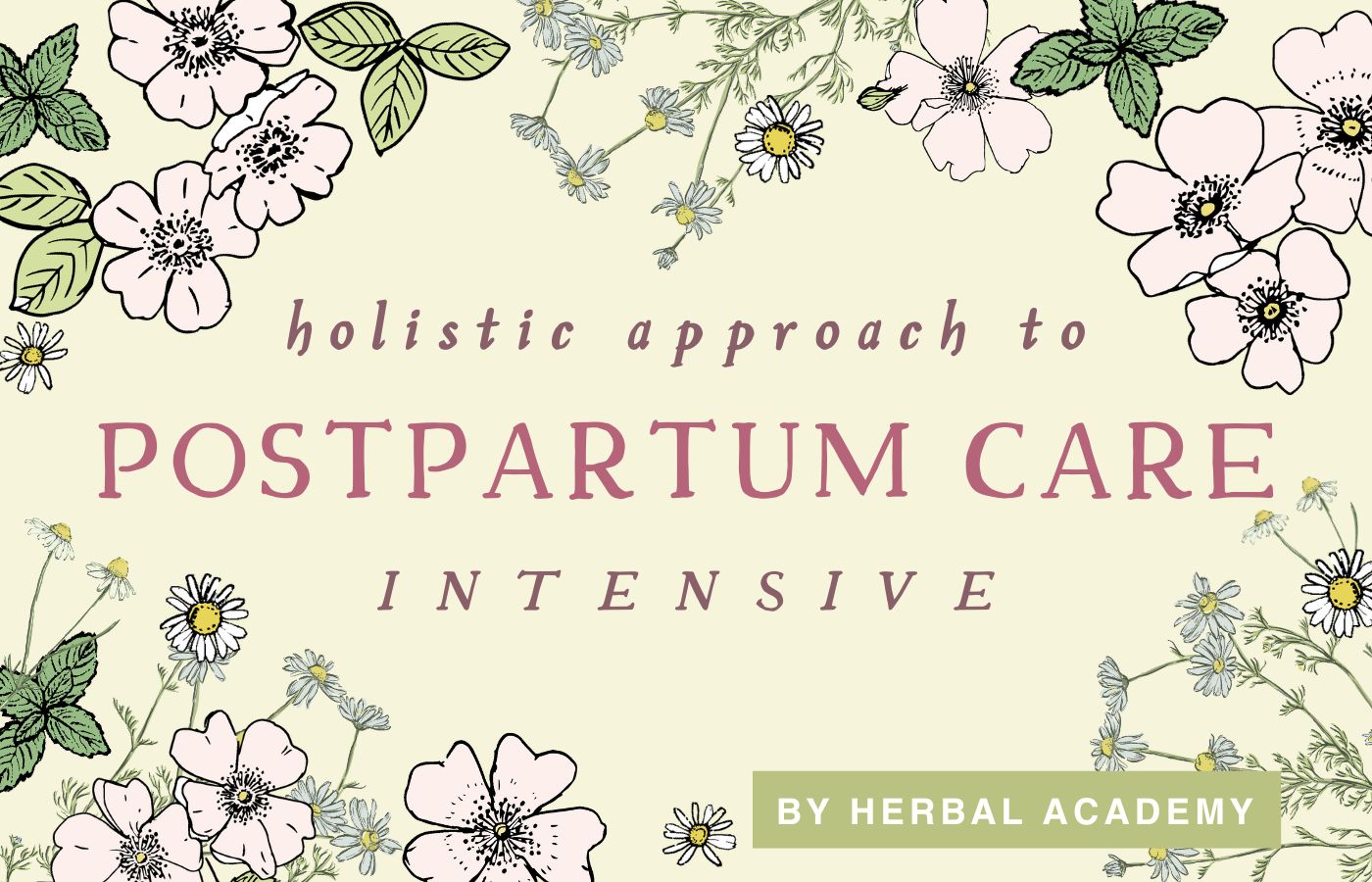 Holistic Approach to Postpartum Care Intensive graphic