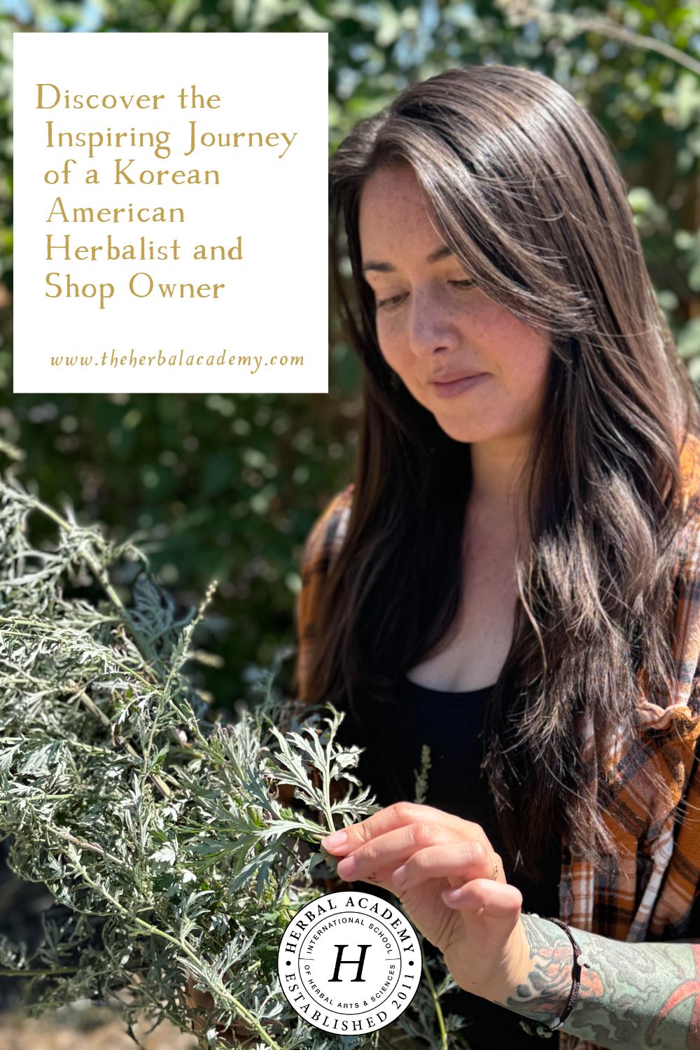 Discover the Inspiring Journey of a Korean American Herbalist and Shop Owner | Herbal Academy | Meet Christine Young, a Korean American herbalist bringing an herbal shop to Denver in 2024 offering bulk herbs, tea blends, and formulas.