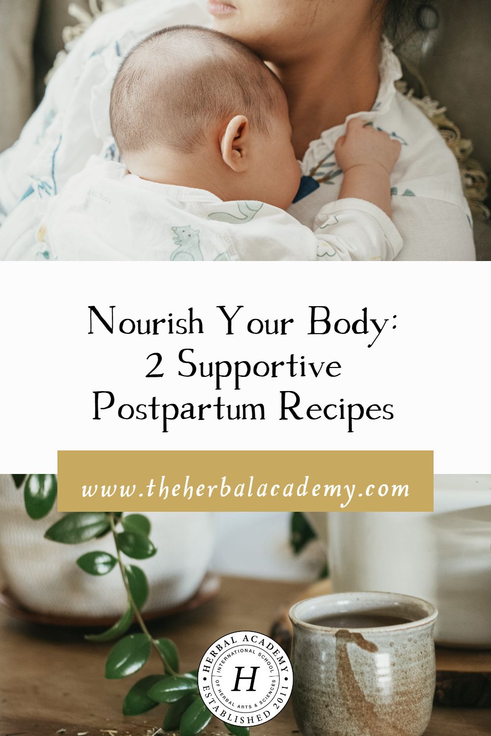 Nourish Your Body: 2 Supportive Postpartum Recipes | Herbal Academy | These nourishing and supportive recipes are great to have on hand to get the nutrients needed during postpartum care.