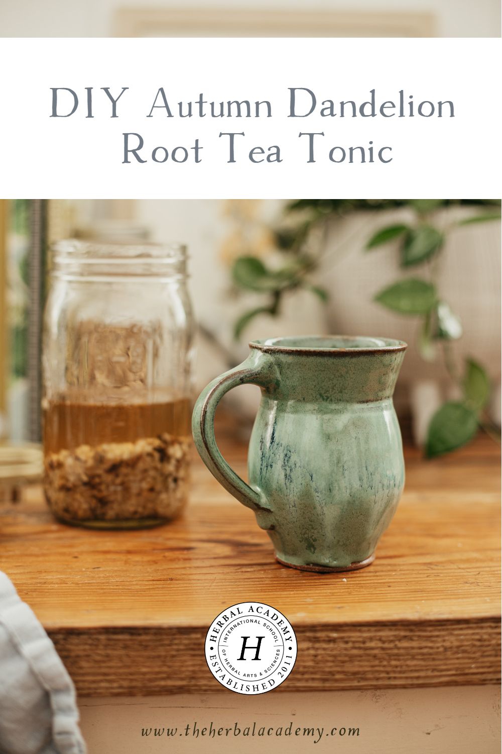 DIY Autumn Dandelion Root Tea Tonic | Herbal Academy | Support your body this autumn with a dandelion root tea tonic, featuring shatavari and astragalus for seasonal balance and wellness.