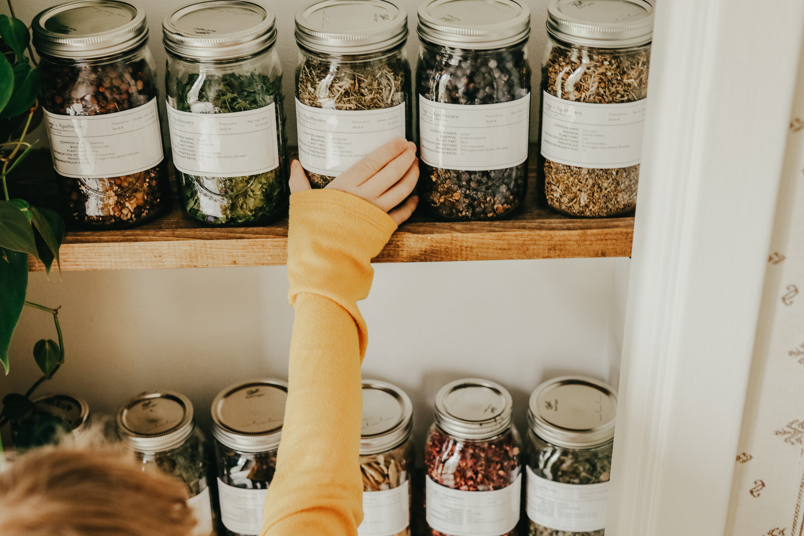 a child taking a jar of herbs off of a shelf