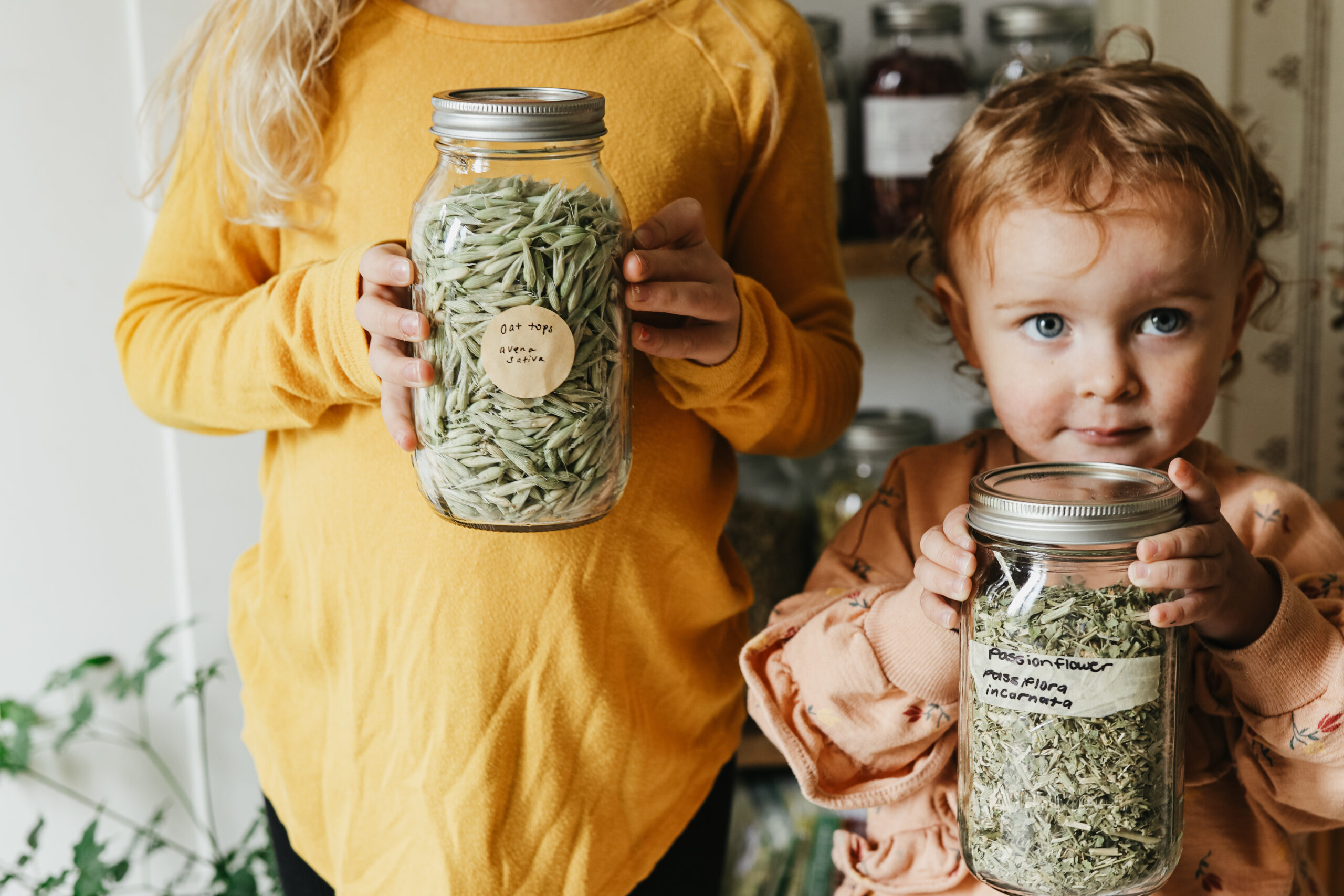 Holistic Herbal Care for Kids Course - Teaching Kids Herbalism