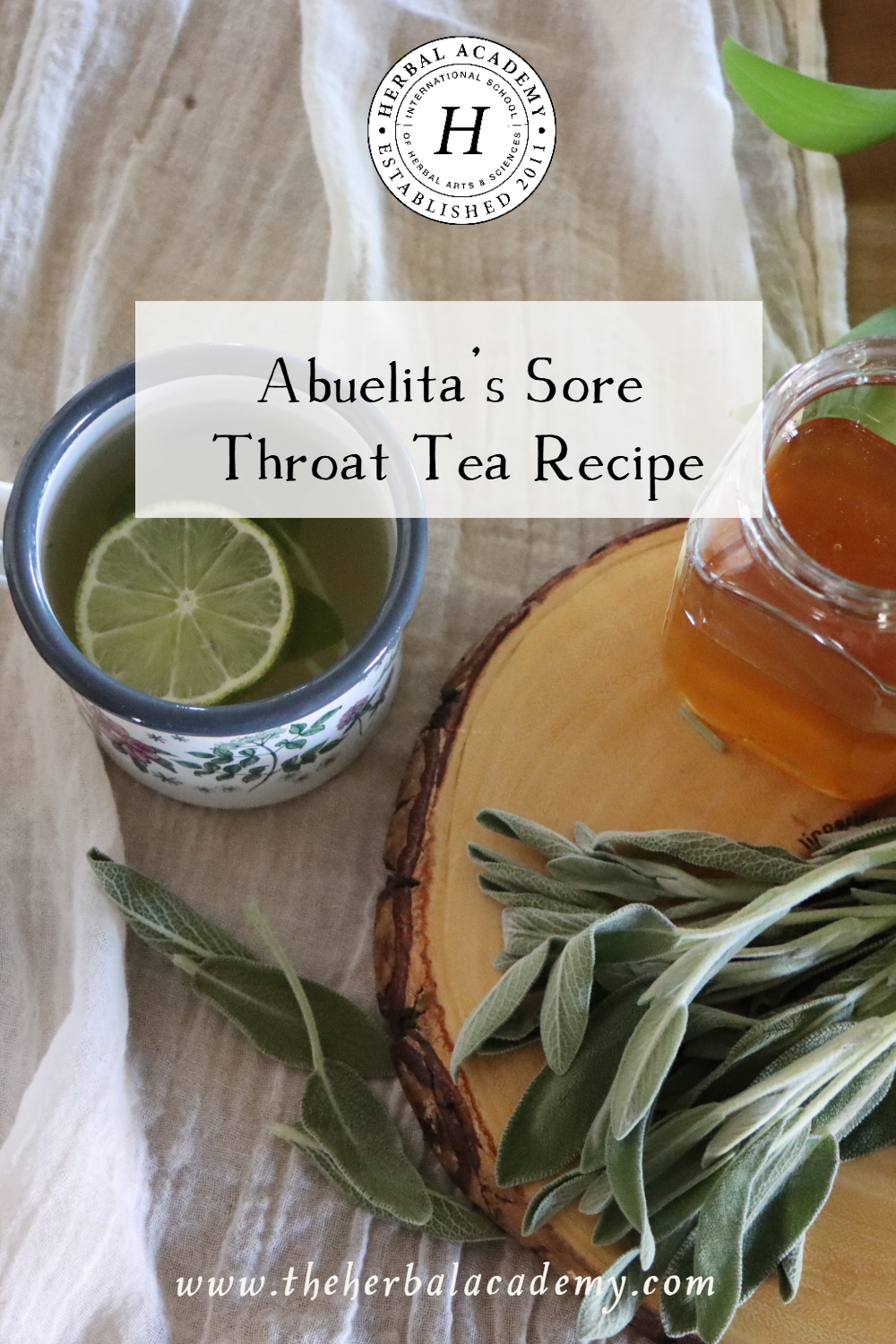 Abuelita's Sore Throat Tea Recipe | Herbal Academy | Try Abuelita’s sore throat tea recipe with featuring sage—perfect for easing throat discomfort and embracing a cherished family tradition.