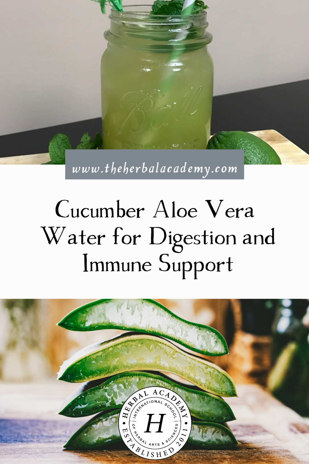 Cucumber Aloe Vera Water for Digestion and Immune Support | Herbal Academy | This herbal water features cucumbers, aloe vera, lime, turmeric, and chia seeds for refreshing digestive and immune support.