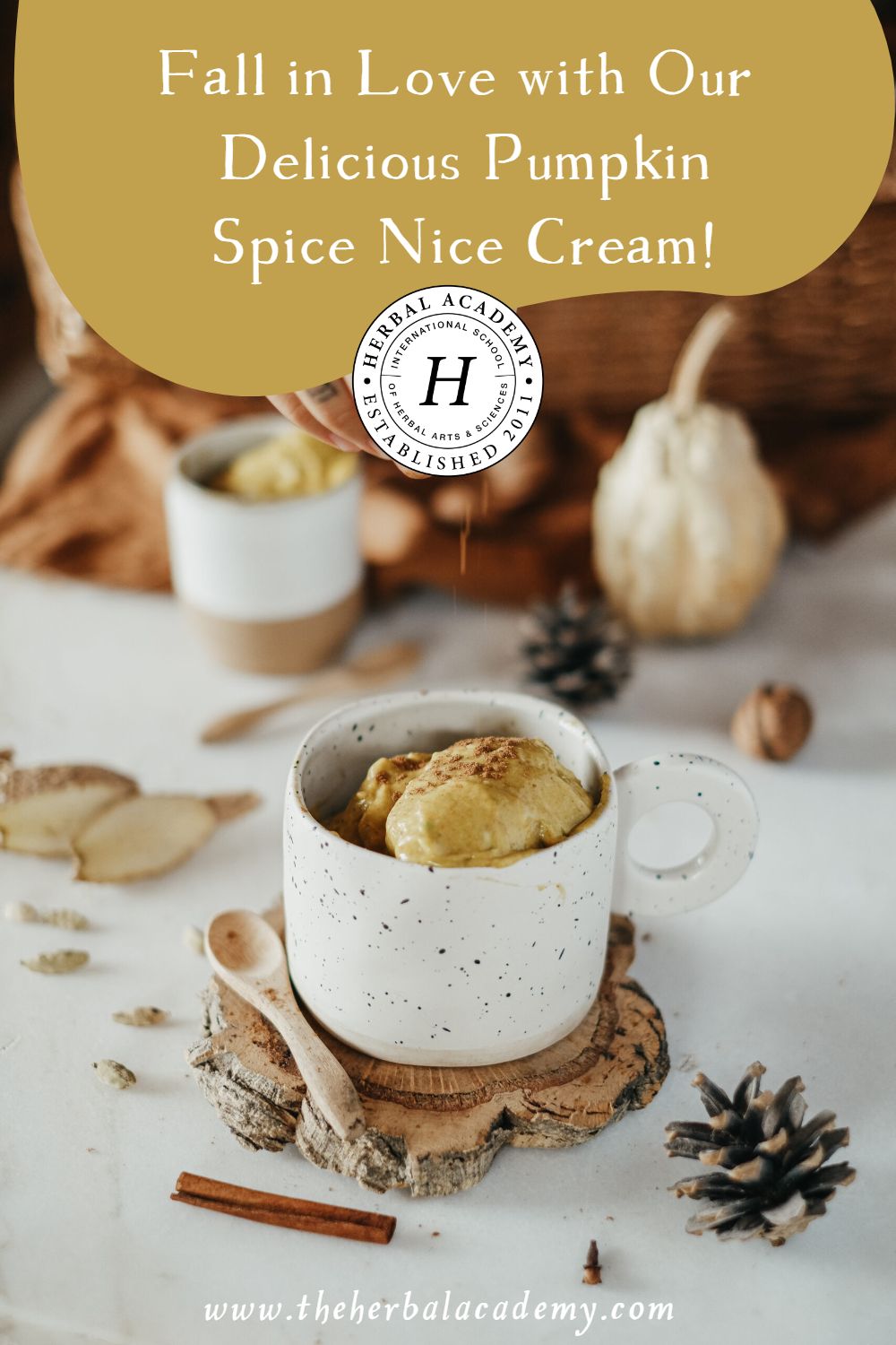 Fall in Love with Our Delicious Pumpkin Spice Nice Cream! | Herbal Academy | This nice cream recipe is a vegan ice cream featuring pumpkin pie spices and pumpkin puree, giving sweet nostalgia all in one creamy scoop. 