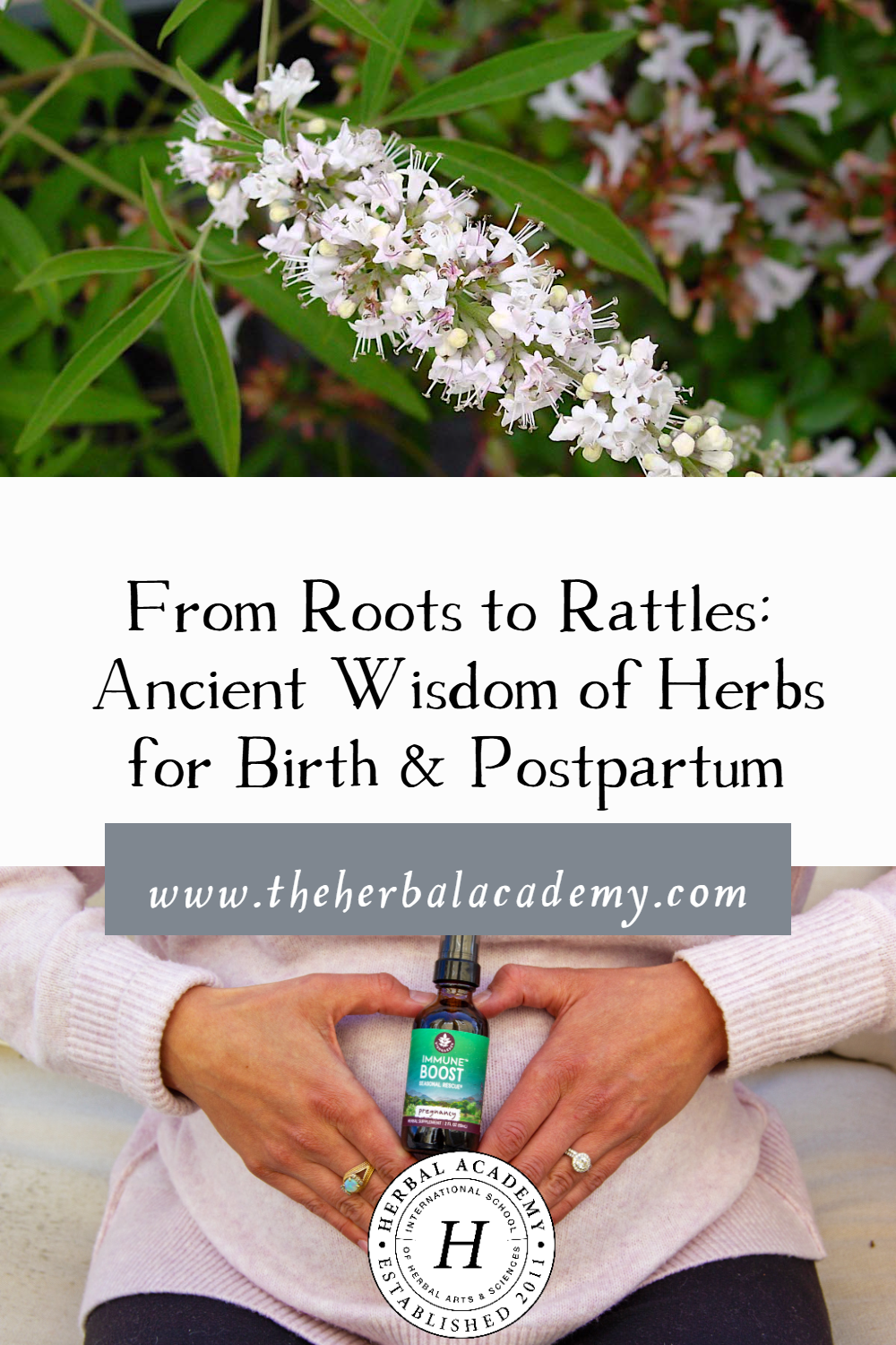 From Roots to Rattles: Ancient Wisdom of Herbs for Birth & Postpartum | Herbal Academy | These time-honored herbs for birth and postpartum continue to provide effective and trustworthy ways to help mothers thrive.