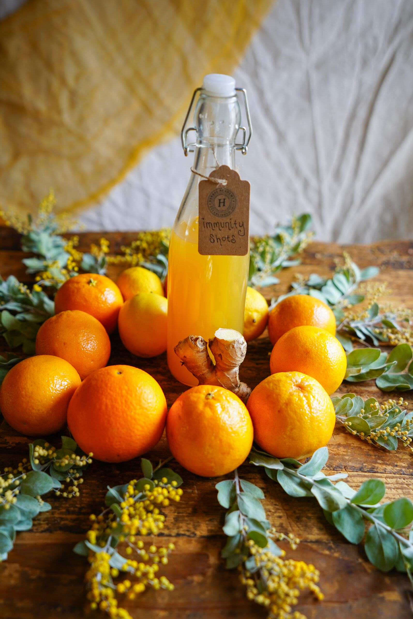 bottle of immunity shots surrounded by oranges and herbs