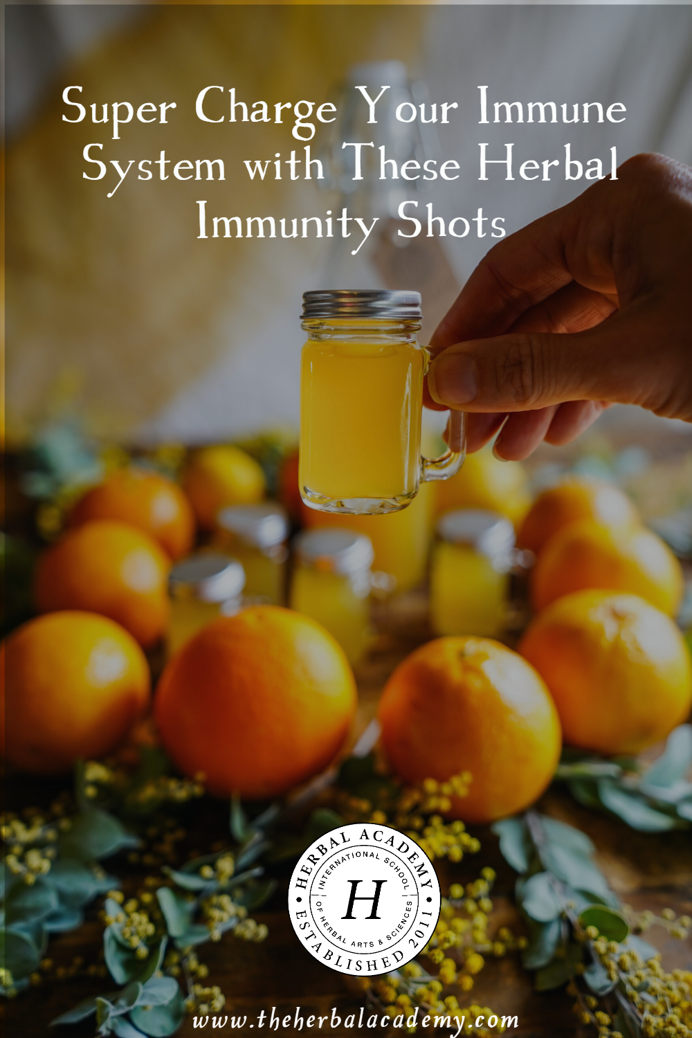 Super Charge Your Immune System with These Herbal Immunity Shots | Herbal Academy | With these immunity shots that have only a few simple ingredients, you’ll have potent wellness shots ready to supercharge your immune system!