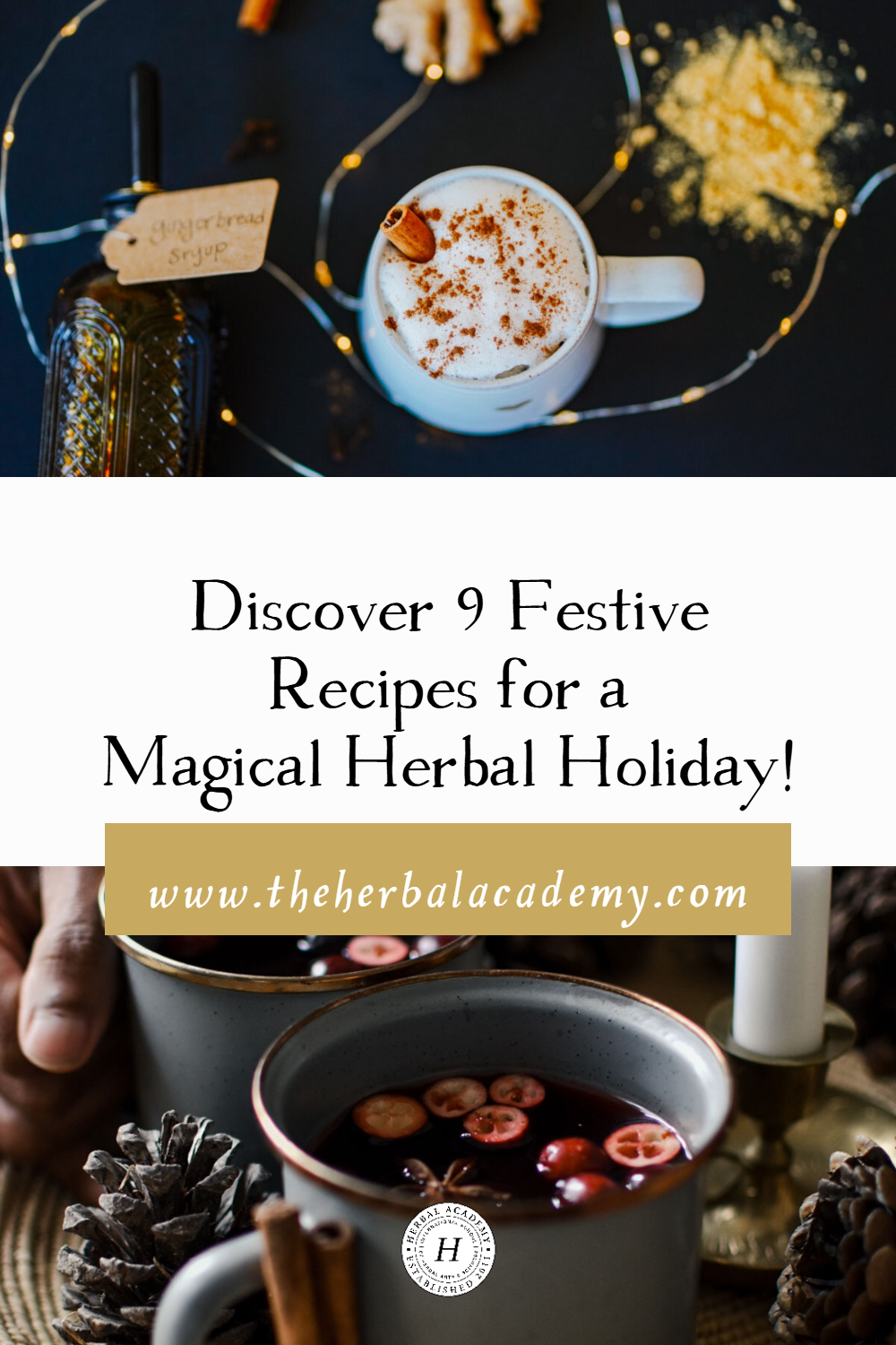 Discover 9 Festive Recipes for a Magical Herbal Holiday! | Herbal Academy | These festive recipes offer many gift-giving options to warm the hearts of your family and friends with a personal and thoughtful touch.