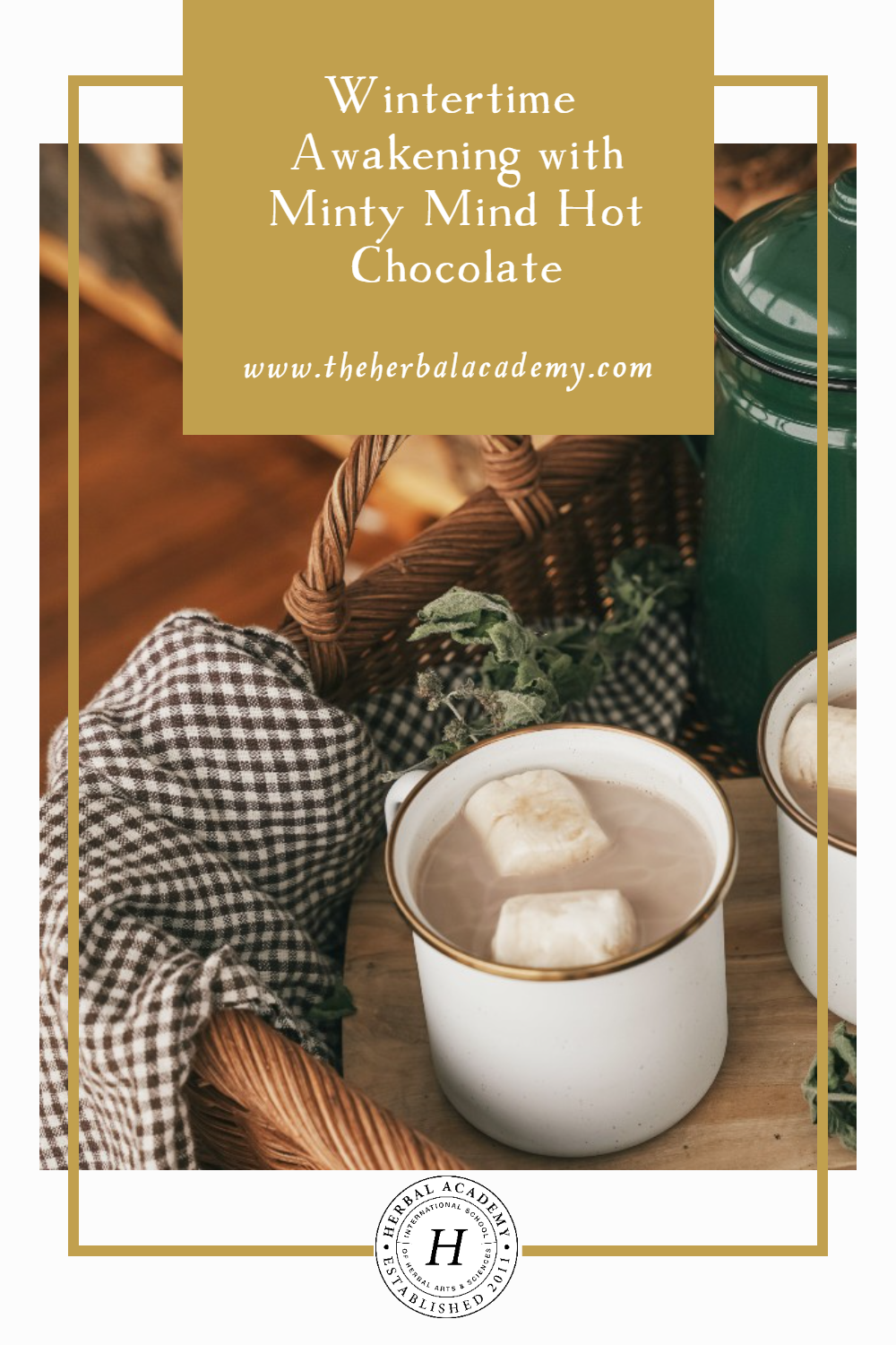 Wintertime Awakening with Minty Mind Hot Chocolate | Herbal Academy | Wrapping our hands around a steaming mug of Minty Mind Hot Chocolate is a way to awaken our cognition while transforming a classic beverage.