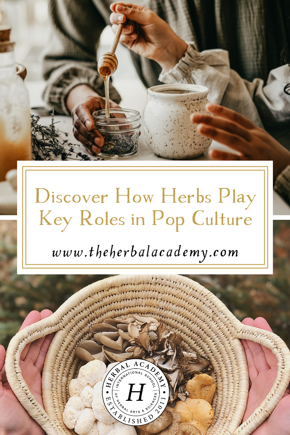 Discover How Herbs Play Key Roles in Pop Culture | Herbal Academy | Discover how herbs in pop culture play key roles in your favorite movies, shows, and video games, and how you can learn real-life herbalism!