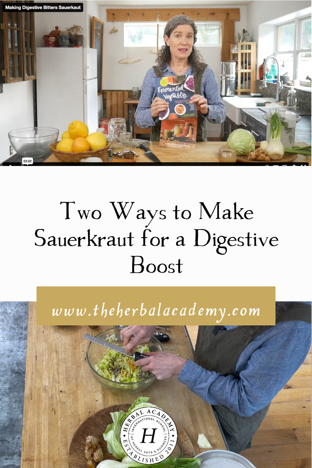 Two Ways to Make Sauerkraut for a Digestive Boost | Herbal Academy | Fermentation does amazing things to raw vegetables. We have two sauerkraut recipes for you to try for an extra digestive boost!