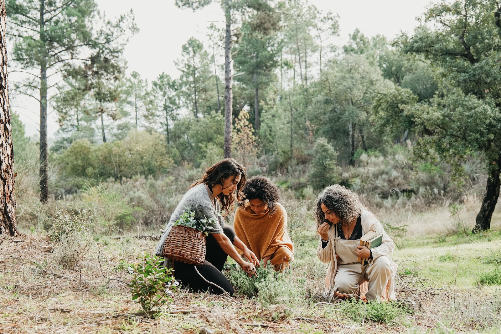 plant people outside foraging for herbs