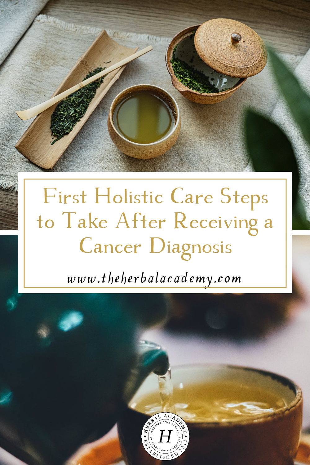 First Holistic Care Steps to Take After Receiving a Cancer Diagnosis | Herbal Academy | In this article, you’ll find ideas for how to approach a cancer diagnosis with holistic care and from a place of groundedness and calm.