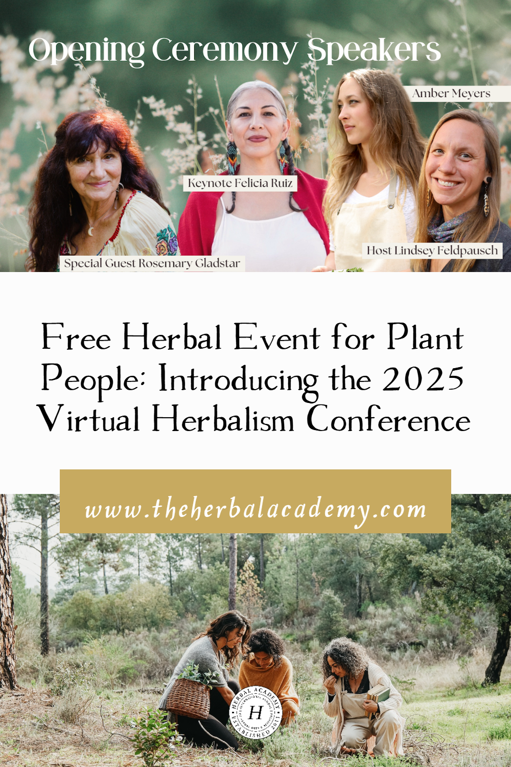 Free Herbal Event for Plant People: Introducing the 2025 Virtual Herbalism Conference | Herbal Academy | We welcome you to the Herbal Academy’s inaugural 2025 Virtual Herbalism Conference – a free herbal event for plant people!