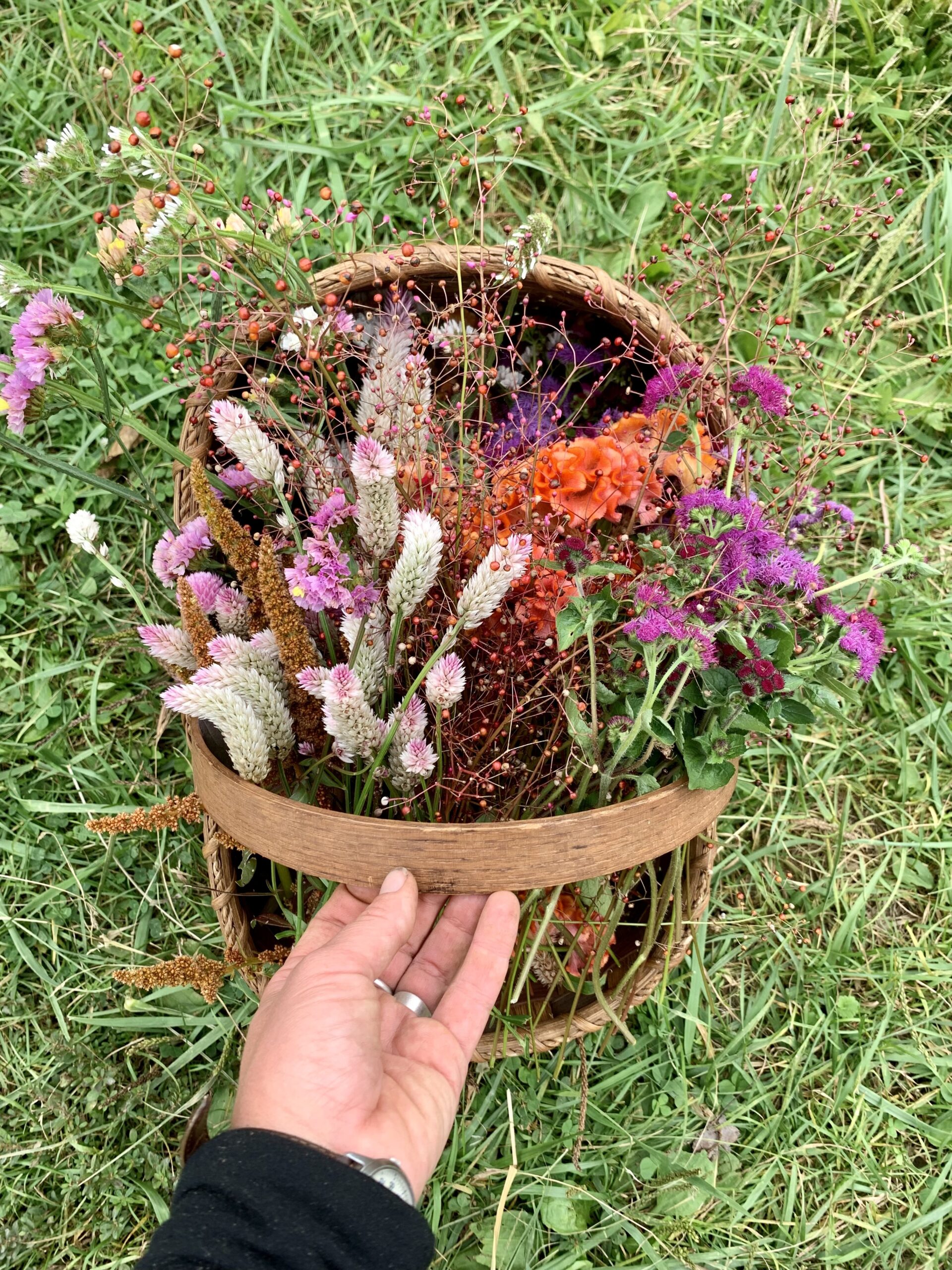 basket of flowers