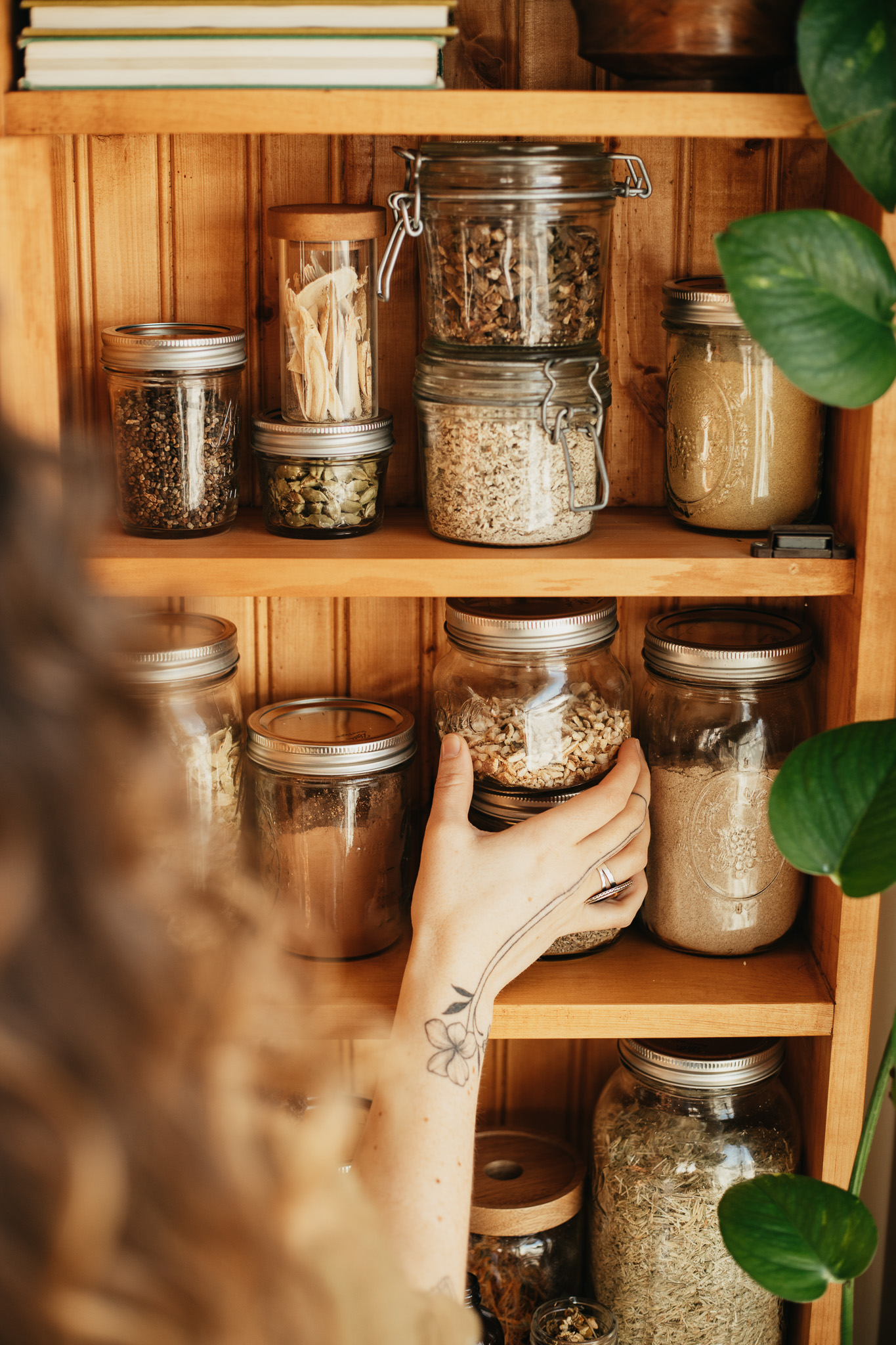 Bitters Apothecary - Herbal Academy