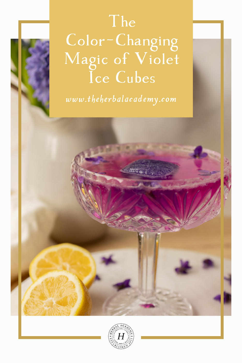The color-shifting properties of the violet make it a lovely ingredient and a beautiful way to bring edible plants into your beverages!