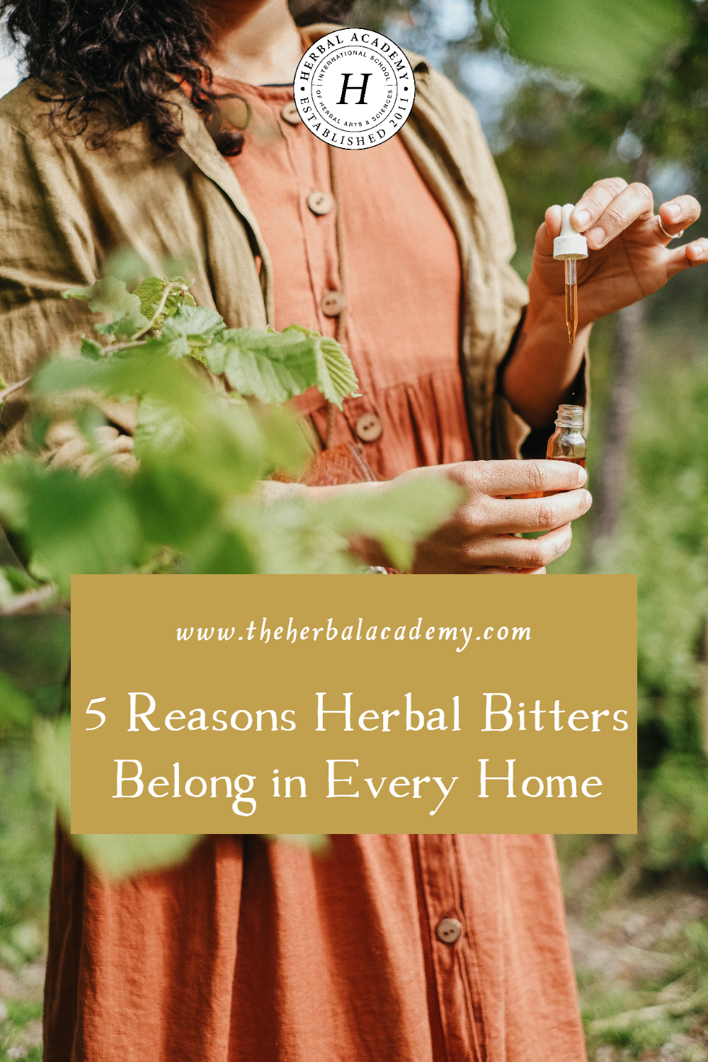 For centuries, herbalists have turned to bitters as a powerful ally—a staple in every well-balanced meal, a trusted companion for wellbeing.