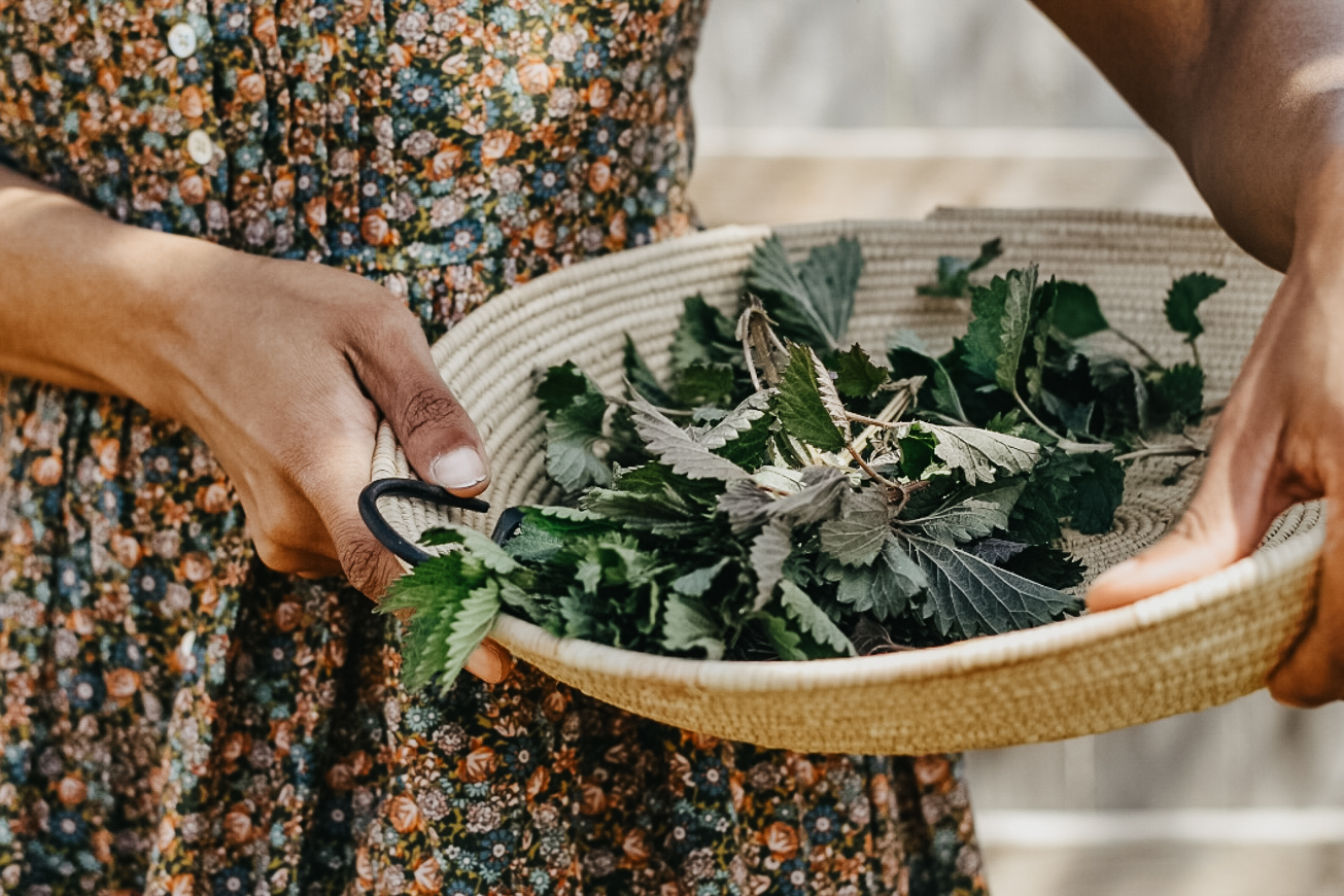 woman holding a basket of herbs
