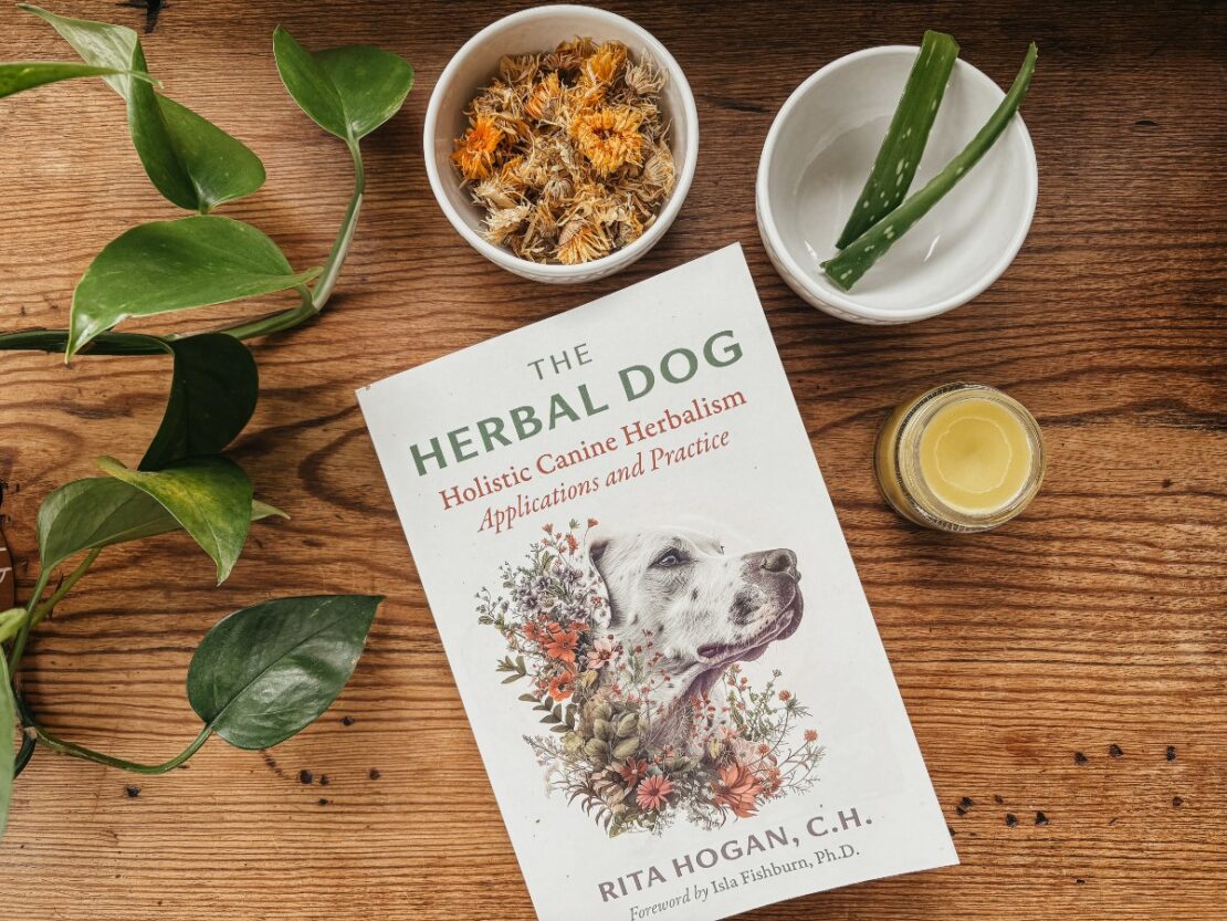 The Herbal Dog book cover