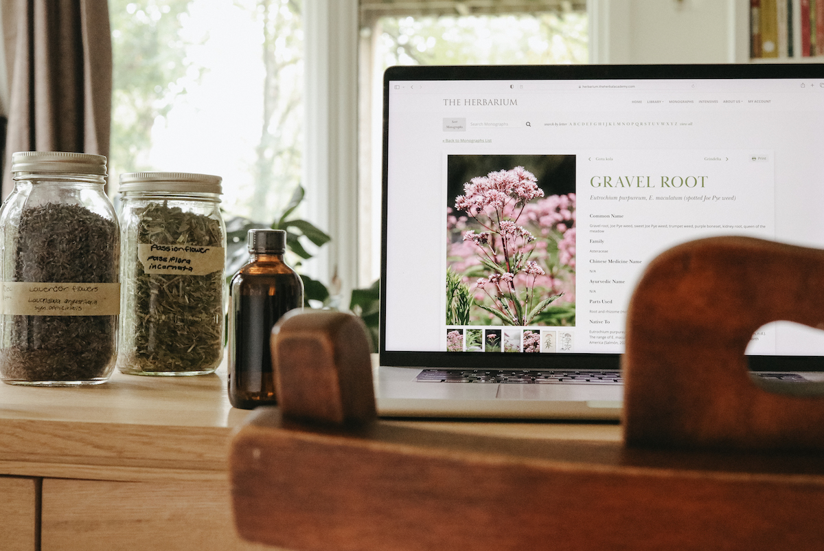 The Herbarium Masterclasses
