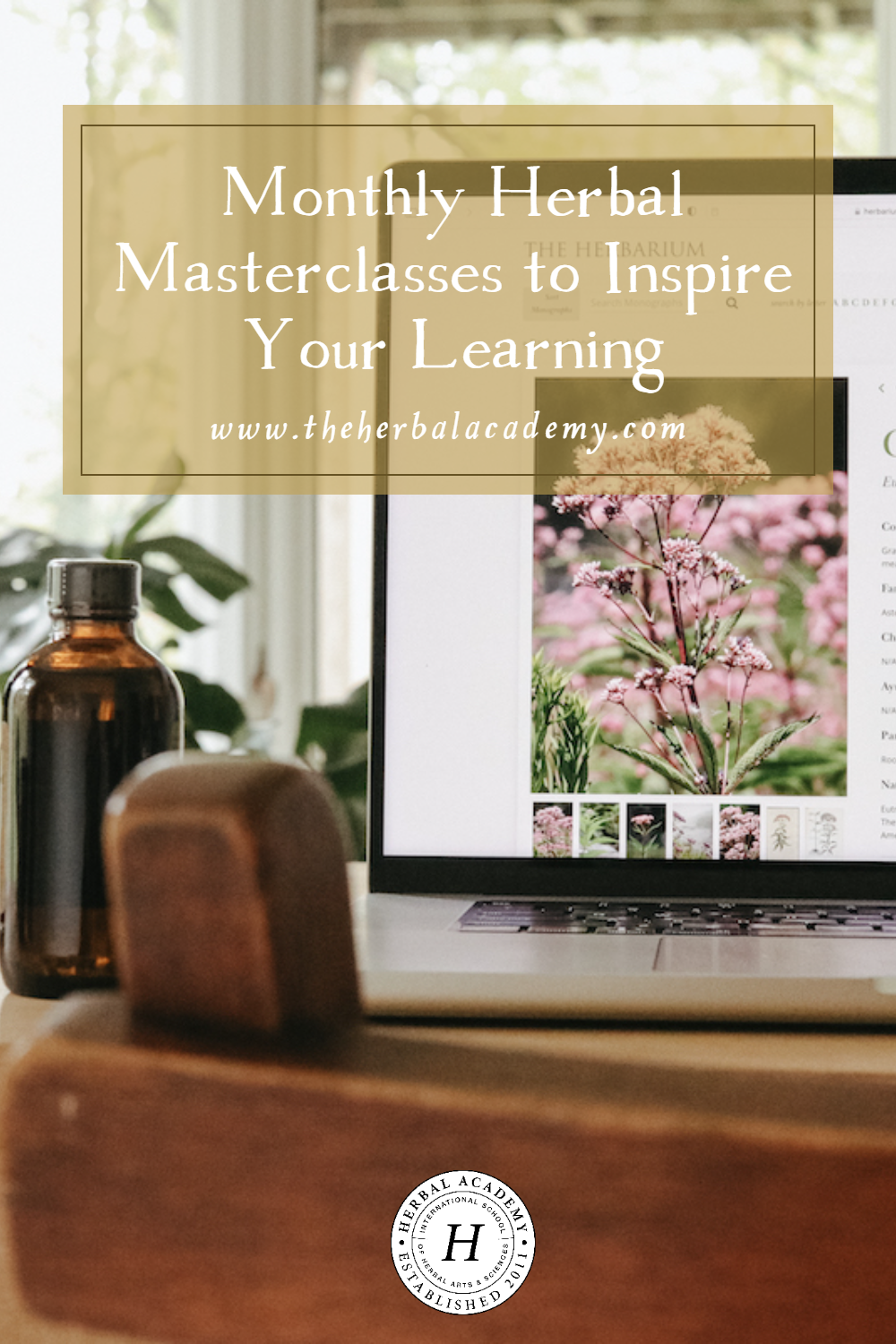 We’re overjoyed to announce an INCREDIBLE new addition to this space: Monthly Herbal Masterclasses with leading herbal experts! 